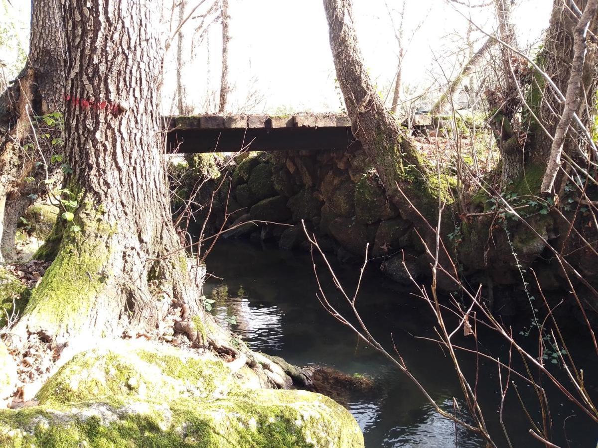 ホテル Q.Ta Moinhos Da Ponte Tábua エクステリア 写真